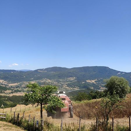 Agriturismo Al Monte San Piero in Bagno Luaran gambar