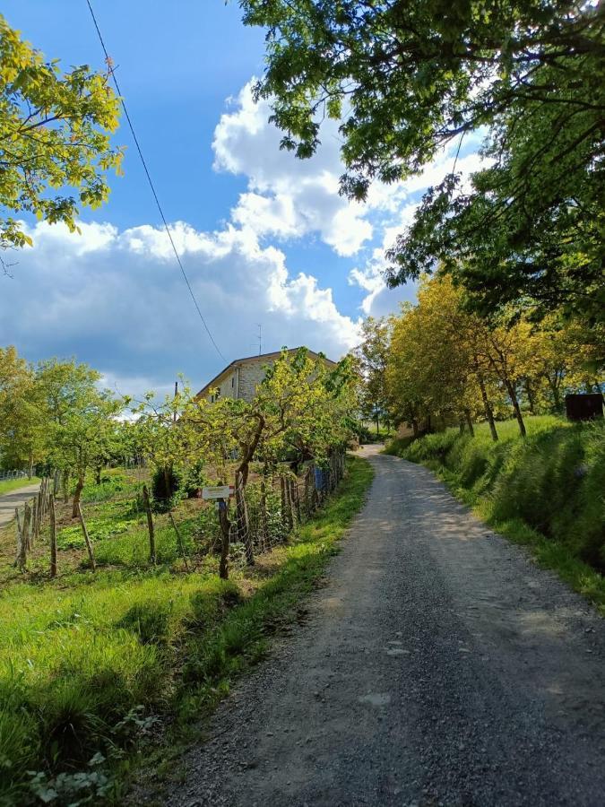 Agriturismo Al Monte San Piero in Bagno Luaran gambar