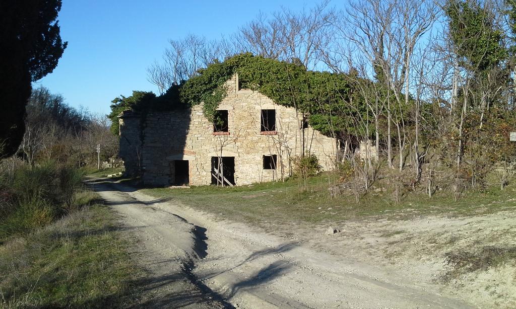 Agriturismo Al Monte San Piero in Bagno Luaran gambar