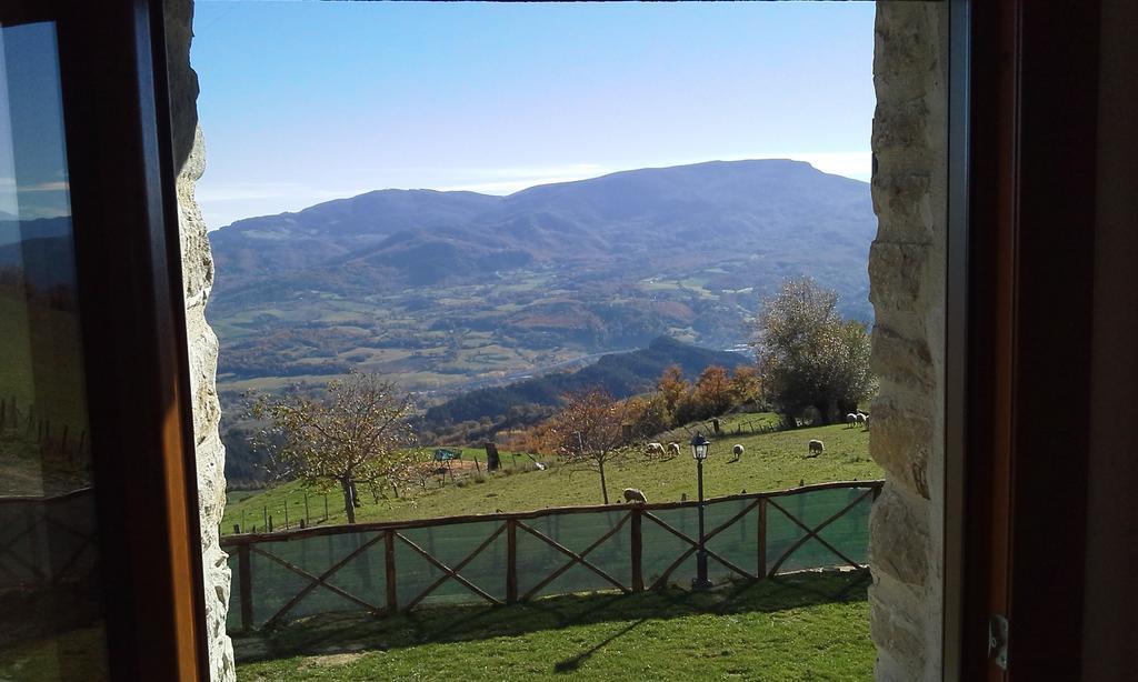 Agriturismo Al Monte San Piero in Bagno Luaran gambar