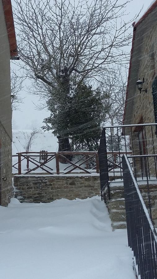 Agriturismo Al Monte San Piero in Bagno Luaran gambar
